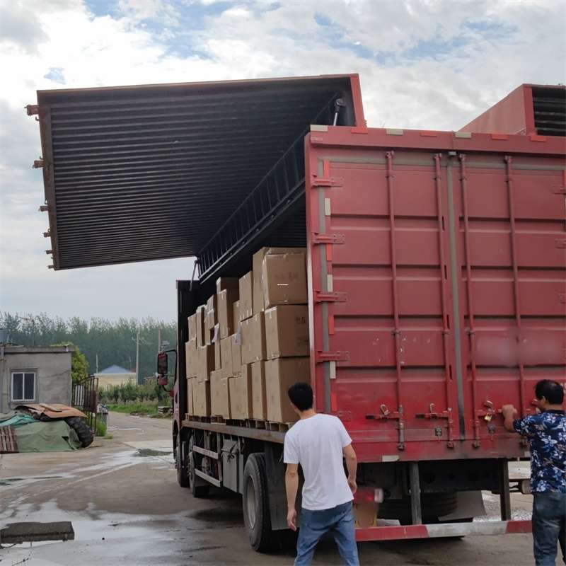 蚌山区扎囊县：物流专线的高效货运之旅